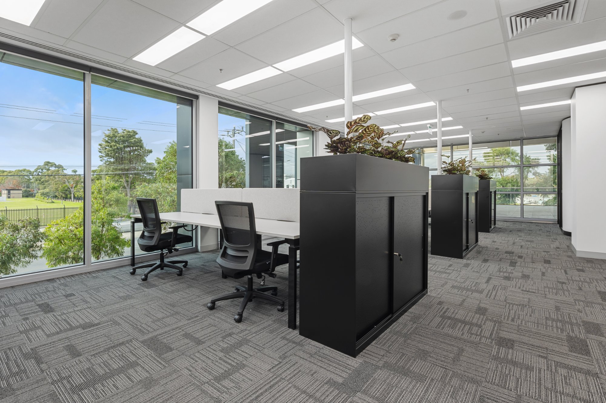 Open-plan office fitout by AFS with floor-to-ceiling windows and custom joinery
